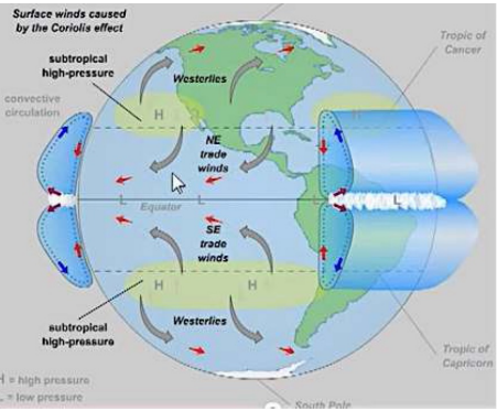 <p>Atmospheric circulation </p>