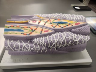 <p>What is the name of this and is it voluntary?</p>