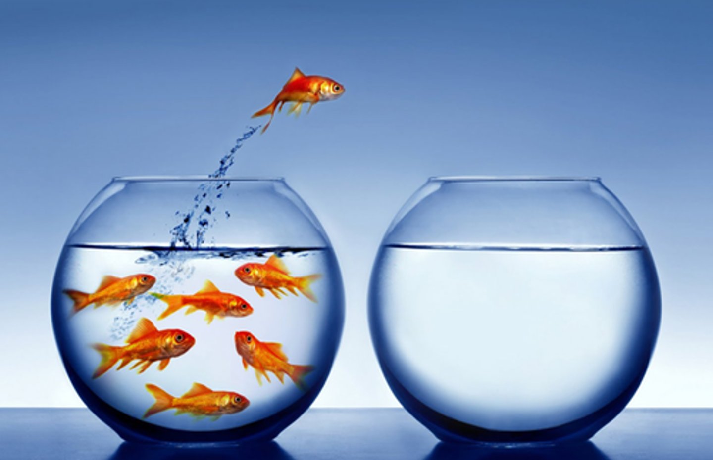 <p>TRANSLATION: учиться самостоятельно</p><p>DEFINITION: To study and understand new things without a teacher's direct help.</p><p>EXAMPLE: With so many tutorials online, it's easier than ever to .................. . С таким количеством обучающих видео в интернете УЧИТЬСЯ САМОСТОЯТЕЛЬНО стало как никогда легко.</p>