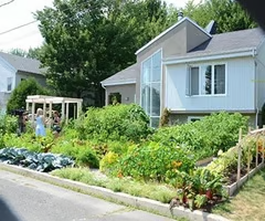 <p>single family home with garden </p>