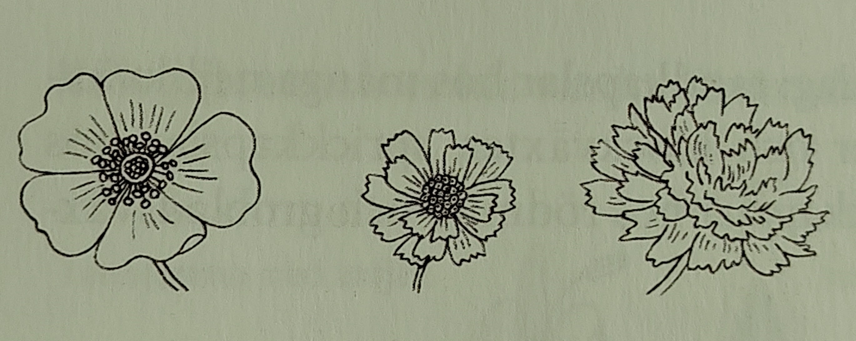 <p></p>