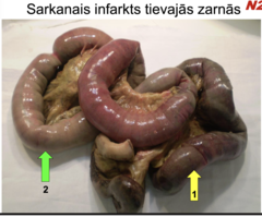 <p>dzeltens</p>