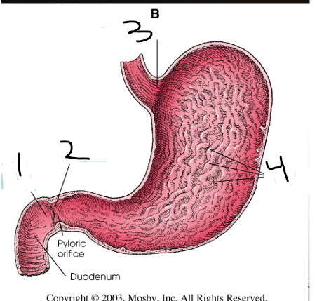 <p>what is 4?</p>