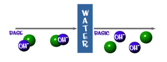 <p>Are proton acceptors: they pick up H+ ions in solution</p><p>• When a base dissolves in solution, it releases a hydroxyl</p><p>ion (OH –)</p>