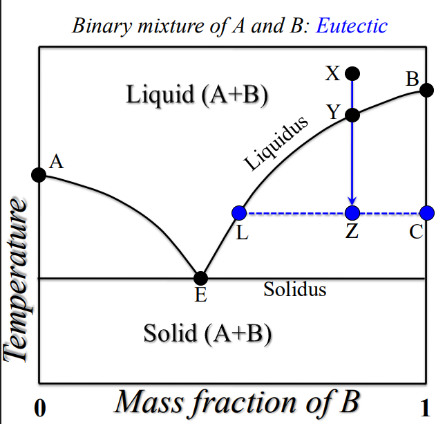 <p><strong>IMPORTANT</strong></p><p>What does A,B,E,C,Z,L,Y,X mean?</p><p>How do you calculate mass proportion of liquid and solid</p>