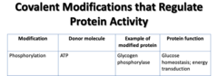 <p>Donor molecule: ATP</p><p>Example: Glycogen phosphorylase</p><p>Function: Glucose homeostasis; energy transduction</p>