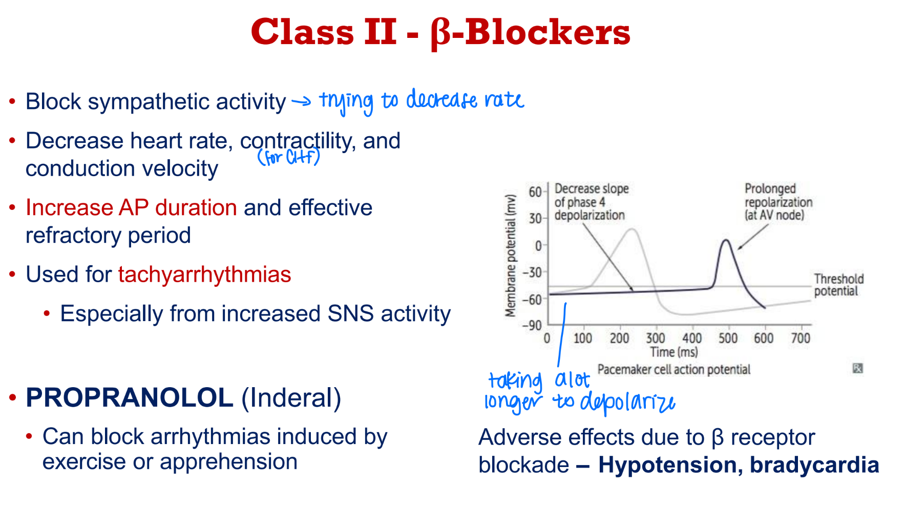 <p>increase action potential duration and effective refractory period</p><p>Beta Blockers → propranolol for tachycardia</p><p>blocks Na+ entry during depolarization and slows depolarization in <strong>slow</strong> AP cells (sinus and AV nodes)</p>