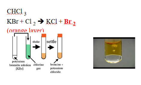<p><span style="line-height: 0px;">NON-METALLIC IONS​: <strong>Br<sup>–1</sup> (bromide)</strong></span></p>