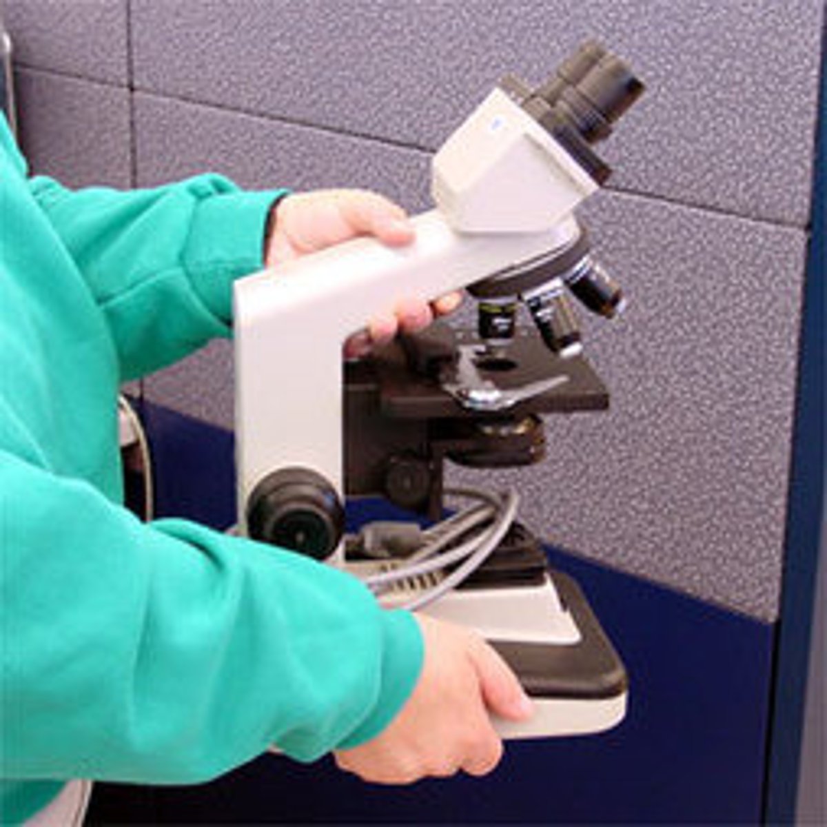 <p>You should carry the microscope by the ____ and the ____.</p>