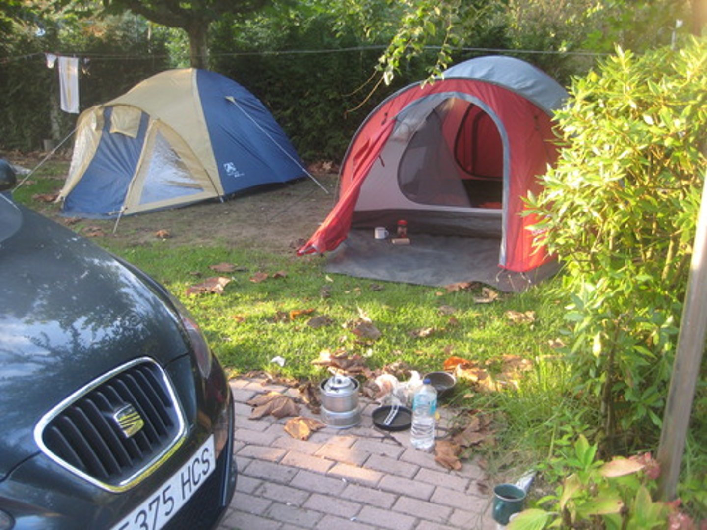 <p>camping</p>