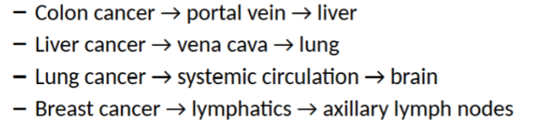 <ul><li><p>venous and lymphatic drainage of primary tumor often determines location of metastasis </p></li><li><p>not always true</p></li></ul><p></p>