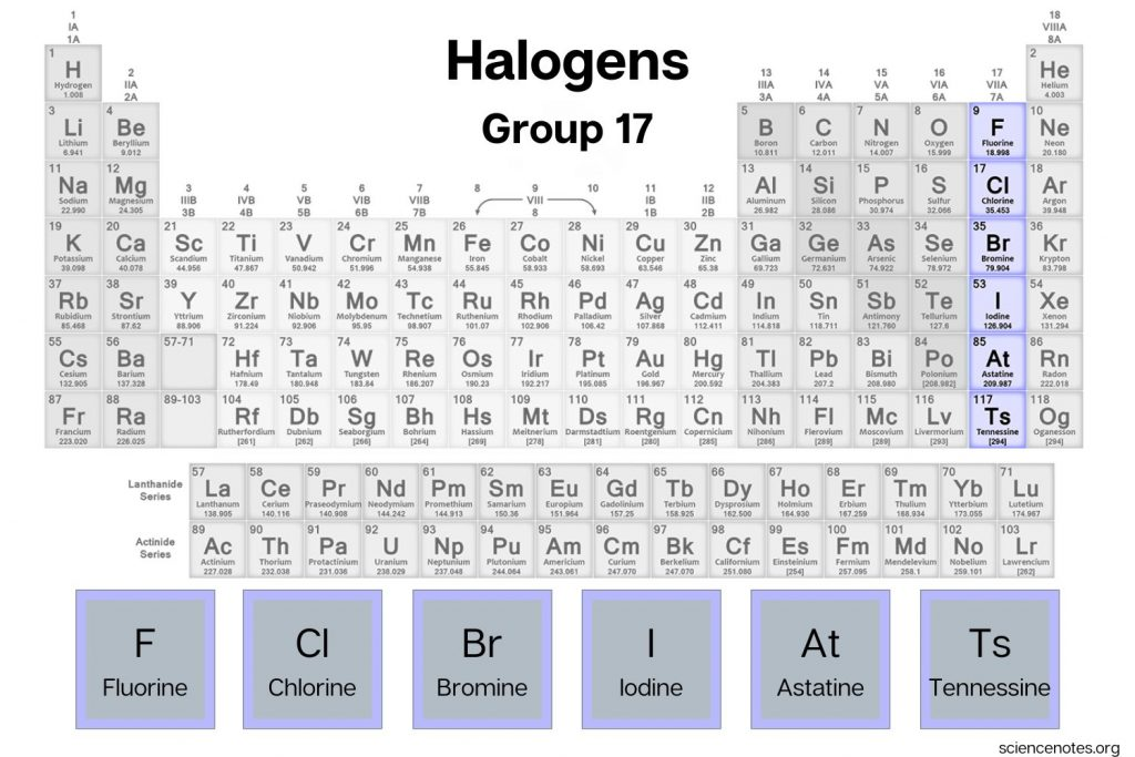 <ul><li><p>group 17 on the periodic table </p></li><li><p>react easily with other elements </p></li><li><p>readily available in nature </p></li></ul><p></p>