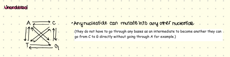 <ul><li><p>Unordered: character states can evolve into any other state (cephalisation quotient - ratio between brain content and predicted brain content normalised for body volume) </p></li></ul><p></p><ul><li><p>Ordered: logical sequence between character states and limits toplogy of phylogeny (diastema - space between incisors and canines) </p></li></ul><p></p>