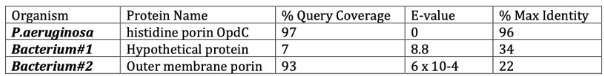 <p>Looking at the E-value data in the table below, which one of the bacteria carries the gene for the protein against which the search was performed?</p>