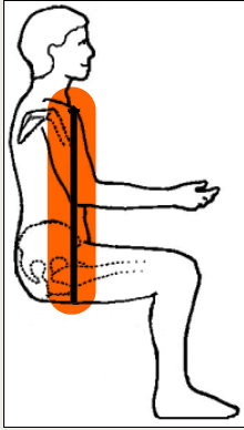 <p>Back and cushion selection</p>