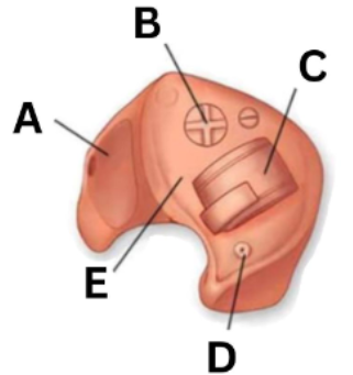 <p>Label the parts of the hearing aids and list their functions:</p>