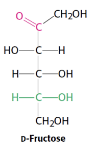 <p>DRAW and desrcibe the structure of Fructose</p>