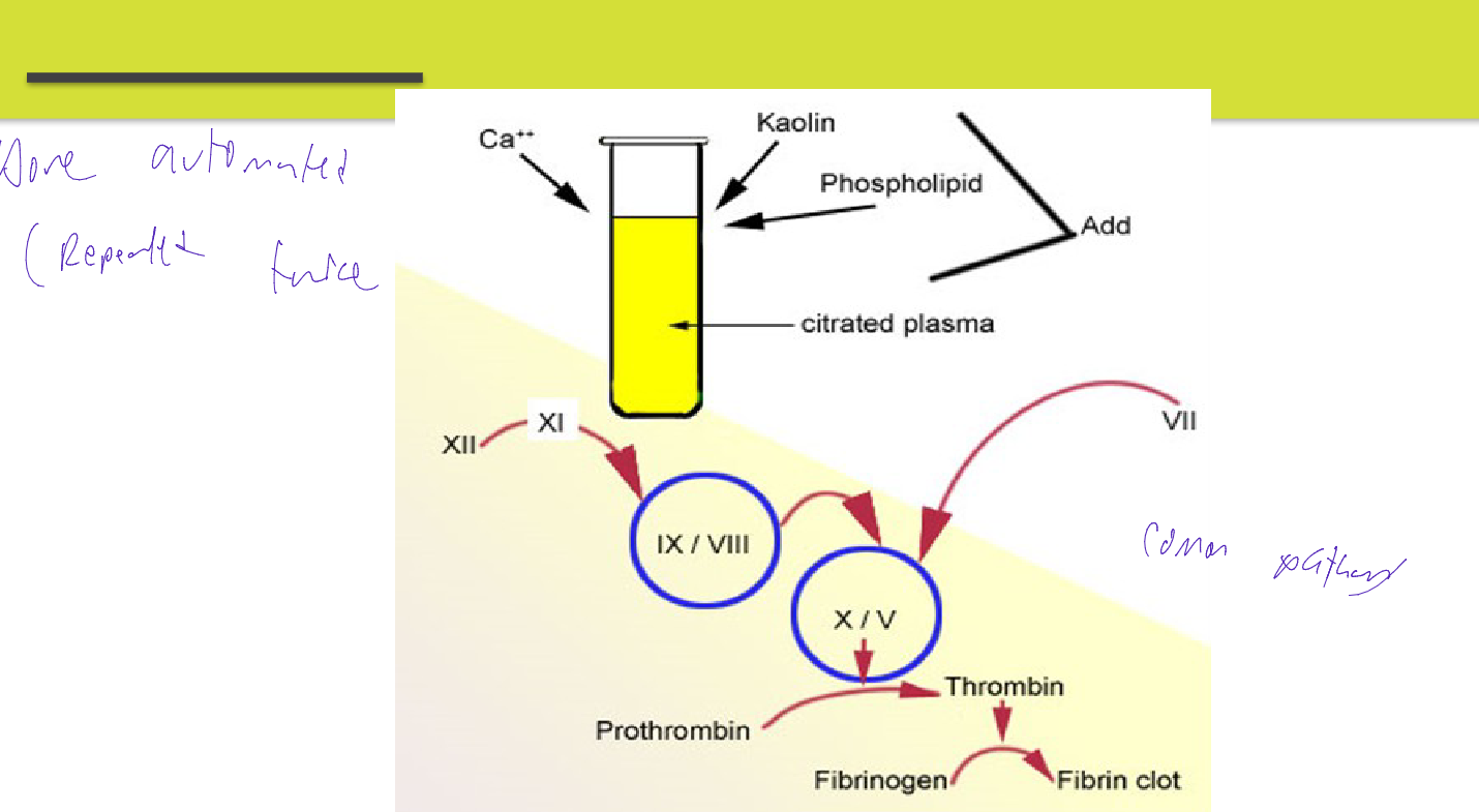 <p>Two reagents</p><p>• Cephaloplasmin (phospholipid) with contact activator</p><p>• CaCl2</p><p>• Both reagents and specimen must be equilibrated for 5 minutes at 37ºC</p><p>• Cephaloplasmin (phospholipid) is added to the specimen and factor XII is activated after 3 minutes</p><p>– CaCl2 is added to complete the clotting cascade</p><ul><li><p>done in dublicate </p></li></ul><p></p>
