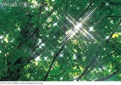 <p>a flash or beam of light</p>