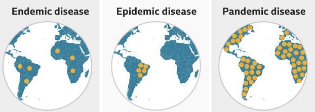 <ul><li><p>endemic disease: constantly present in a population or region, with relatively low spread</p></li><li><p>epidemic disease: sudden increase in cases spreading throughout a large population</p></li><li><p>pandemic disease: sudden increase in cases across several countries, continents, or the world</p></li></ul><p></p>