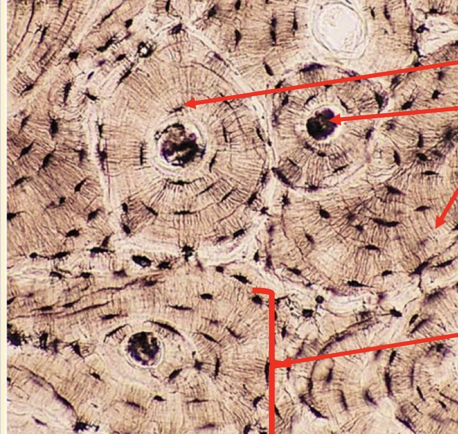 <p>What is this?</p>