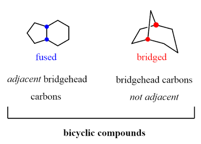 <p><strong>☆ what are bridgehead carbons?</strong></p>