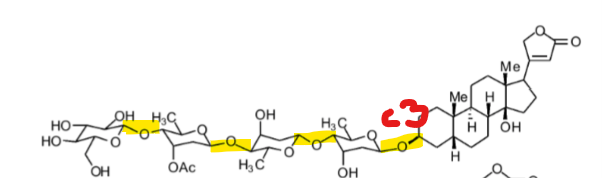 <p>Where are sugars attached in cardiac glycosides?</p>