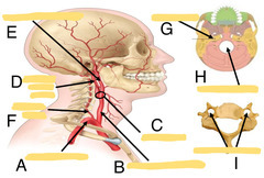 <p>What is A?</p>