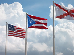 <p>(v) /ˈflʌt.ər/ - phấp phới, vẫy nhẹ. Ex: The flag fluttered in the wind. (Lá cờ phấp phới trong gió.)</p>