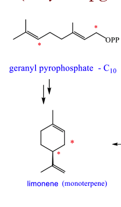 <p>Draw the mechanism for the formation of limonene from geranyl pyrophosphate </p>