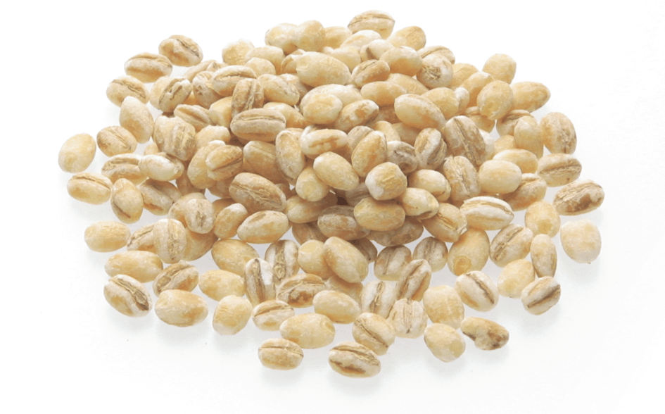 <p>Barley / Cevada</p>