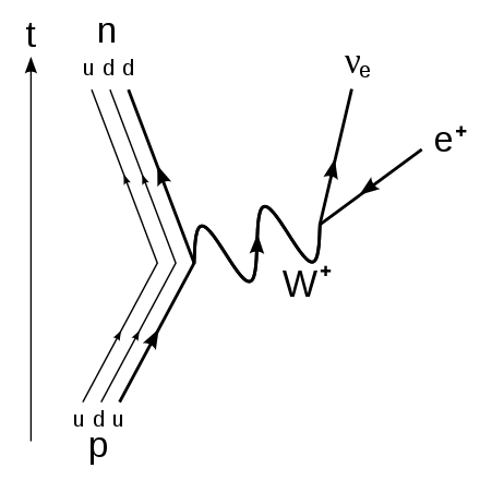 <p>$$p\rightarrow n+e^{+}+\nu_{e}$$</p><p>W+ boson exchanged</p>