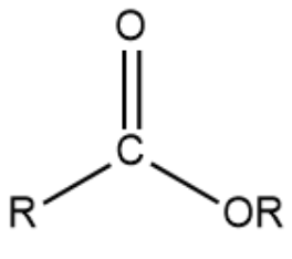 <p>What functional group is this?</p>