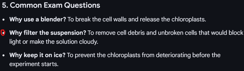 <p>The theory behind:</p><ul><li><p>In the light dependent reaction, when electrons are released, DCPIP takes place of NADP and accepts the electrons, colour change from blue to colourless, when reduced</p></li><li><p>Shine green light refelected, so reduced rate of photosynthesis// red and blue not reflected absorbed</p></li></ul><p>Variables:</p><ul><li><p>IV: Light intensity or wavelength of light</p></li><li><p>DV: Time taken for DCPIP to turn colourless</p></li><li><p>Controls: Temperature → water bath // CO2 conc → Fixed volume of sodium hydrogen carbonate solution, so CO2 is not limiting // Chloroplast volume</p></li></ul><p></p><p>When it asks why Isotonic or why cold or buffered?</p><p>SAY RELATING TO CHLOROPLAST OR ORGANELLES, NOT CELLS</p><ul><li><p>Ice cold: To stop enzyme activity</p></li><li><p>Isotonic: TO prevent movement of water by osmosis, so preventing bursting and shrivelling of the chrloroplast</p></li><li><p>Buffered: To maintain pH so proteins don’t denature</p></li></ul><p></p>