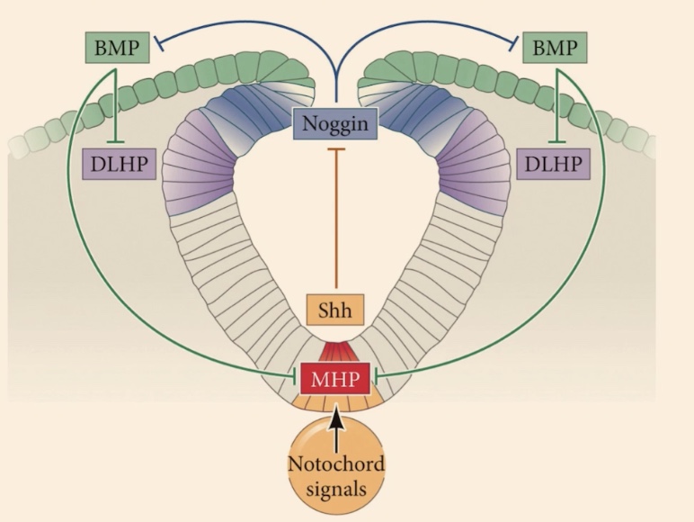 <p>What do you got here? </p>