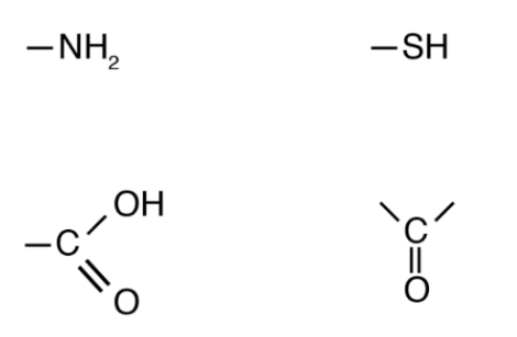 <p>Recall these functional groups</p>