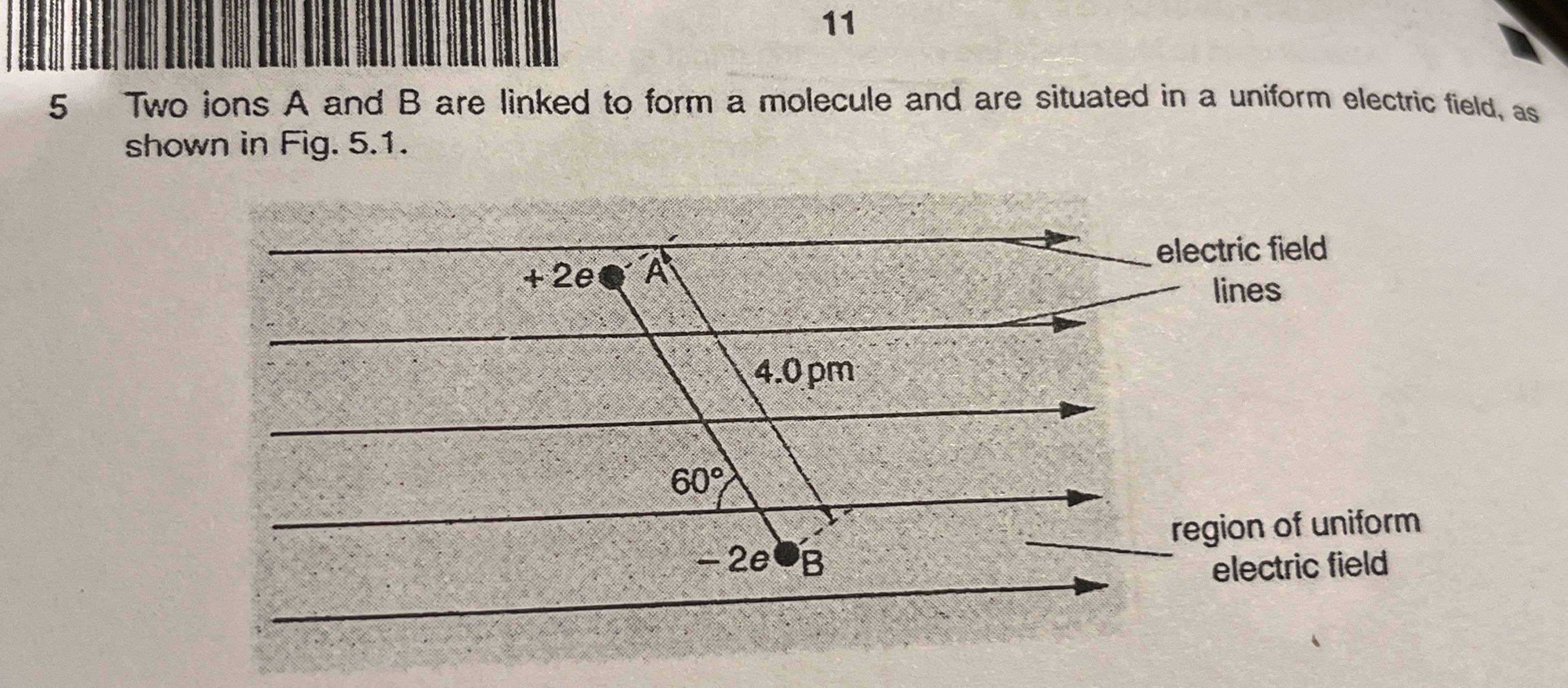 <p>Why resultant force acting on molecule AB is 0</p>