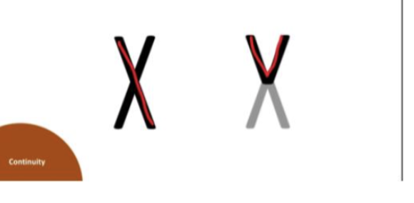 <p>The ability to perceive a simple, continuous form rather than a combination of awkward forms</p>