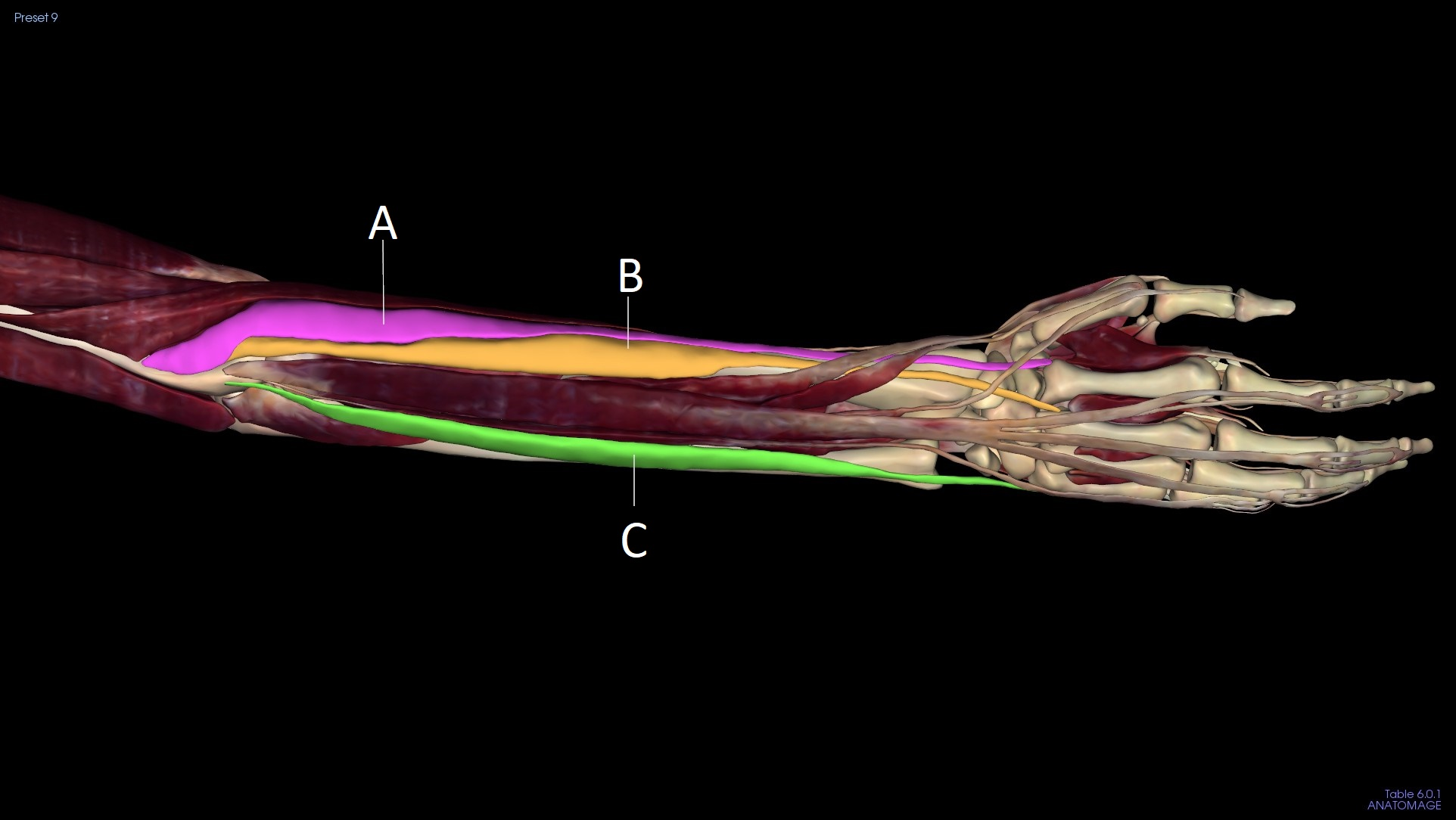<p>A</p>