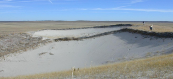 <p>What kind of Dune is this?</p>