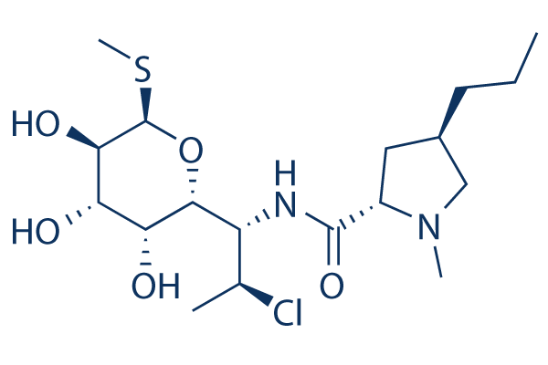 <p>Lincomycin derivative; sulfur-containing antibiotic active against anaerobes.</p>
