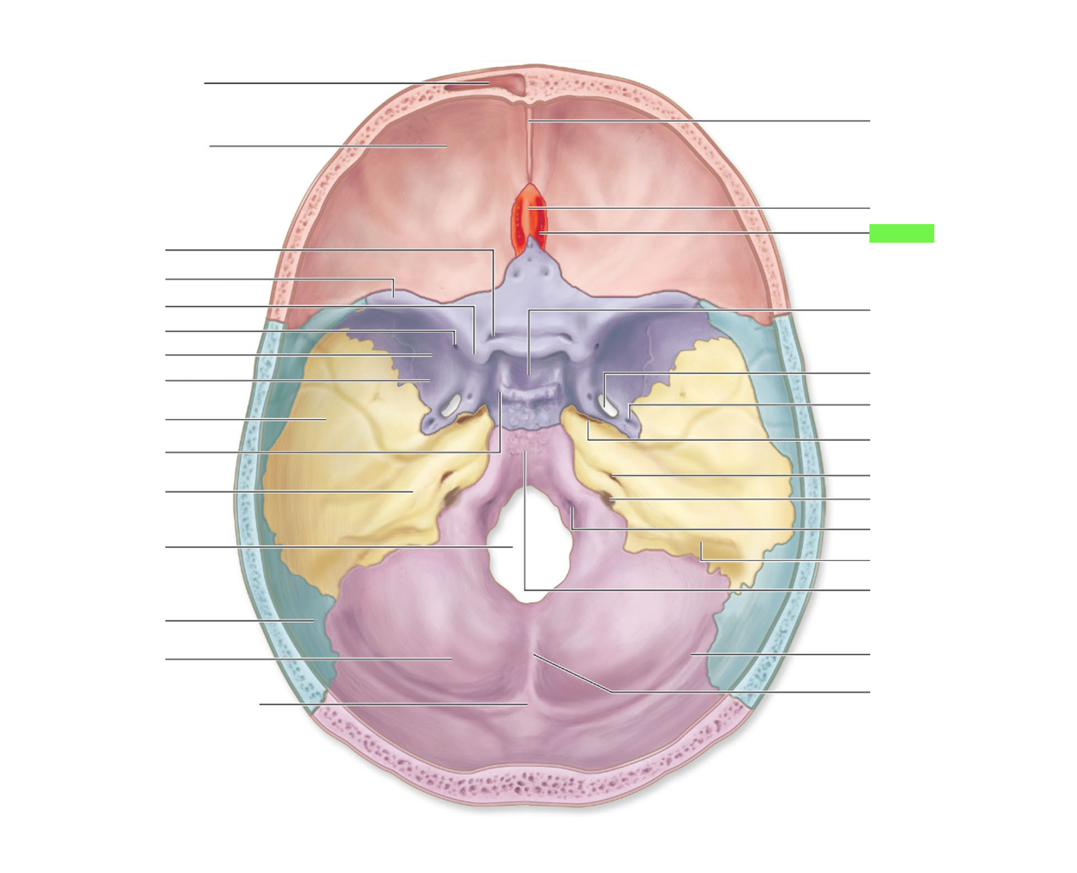 knowt flashcard image