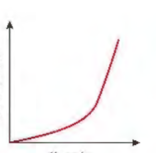 <p>Observe this graph. (v-t)</p>