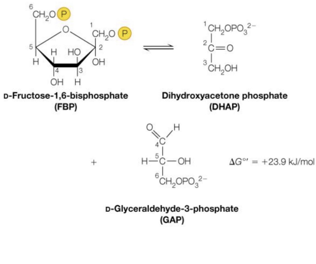 <p>What reaction number is this?</p>