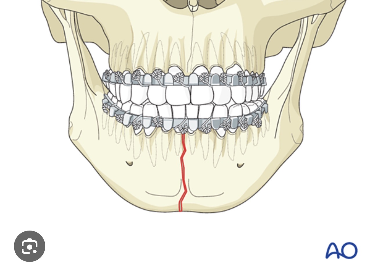 <p>What is this structure?</p>