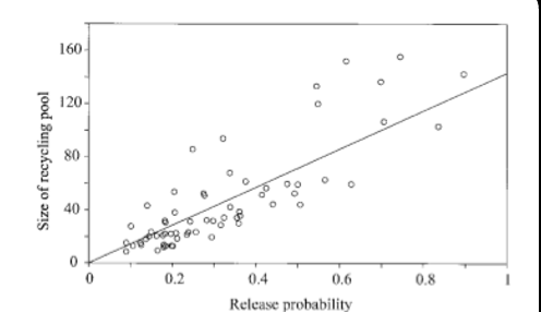 <p><span style="font-family: "Helvetica Light";">&nbsp;- interestingly, the release probability shows a strong correlation with the size of the pool of synaptic vesicles available for release.</span></p>