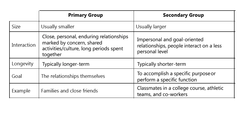 <p>social interaction: group</p>