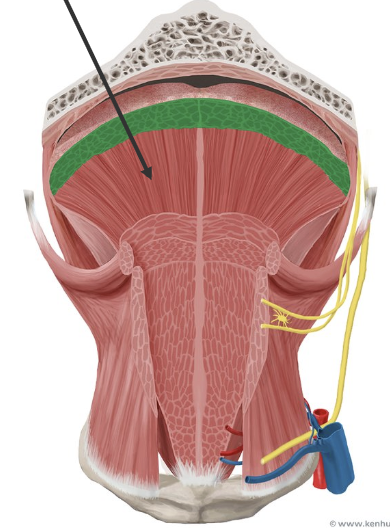 <p>what does this show</p>