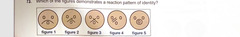 <p>Which of the figures demonstrates a reaction pattern of identity?</p><p>a figure 1</p><p>b figure 2</p><p>c figure 3</p><p>d figure 4</p>