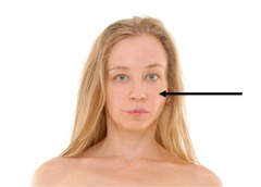 <p>cheek</p>